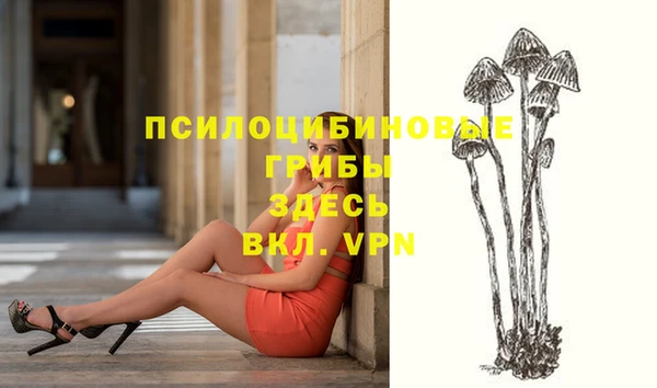первитин Алексин