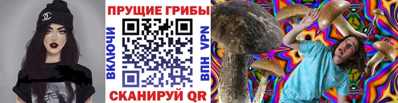 Галлюциногенные грибы ЛСД  Ивдель 